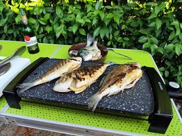 Grill