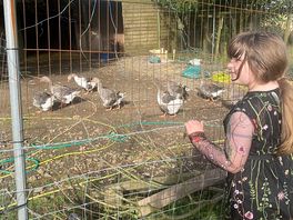 Selling hello to the animals
