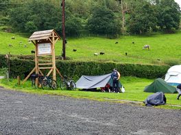 Brave traditional camper on a damp morning with sheep and horses in the field behind.