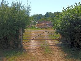 View from track to the field looking towards the farm yard.