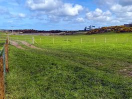 Grassy pitches