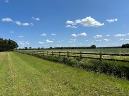 Fantastic view from the field.