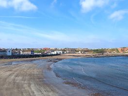 Eyemouth beach. great dog friendly beach