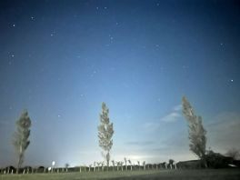 Stars
