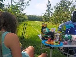 Quiet and shade in the non-electric crabapple field