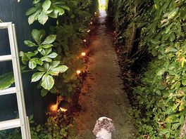 The walk to the bathrooms.