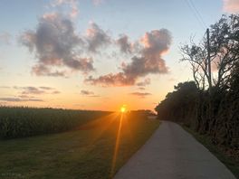 More sunset