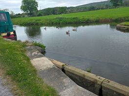 The locks