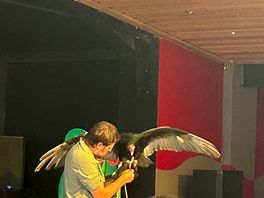 The show that was on at night
