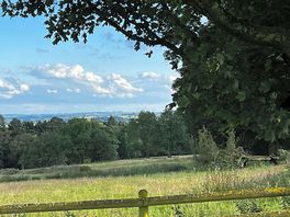 Lovely views