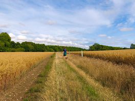 Public footpath through fields & woods to debden