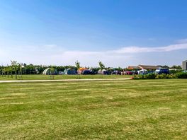 Grass pitches