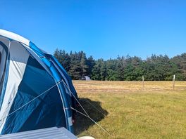 Our pitch