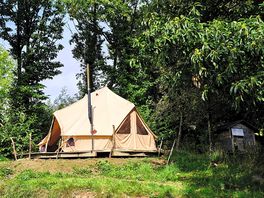 Buttercup bell tent