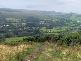 Views on the walks