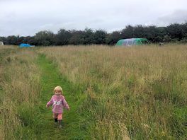 The path through the meadow.