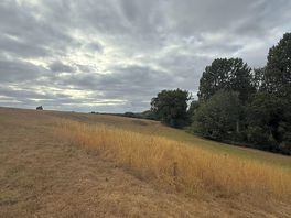 Great views and walks