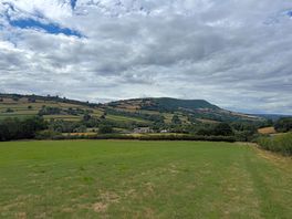 Views on the walk towards offa's dyke path.