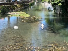 On stream running alongside of site