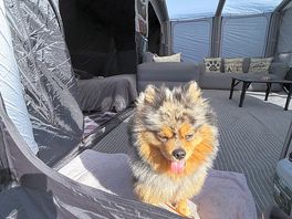 Our boy loving life