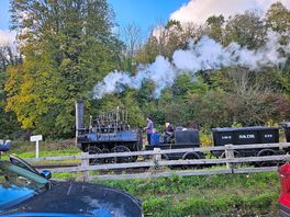 Steam train at pickering