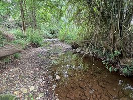 Stream on site