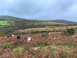 10 minute walk away from the site