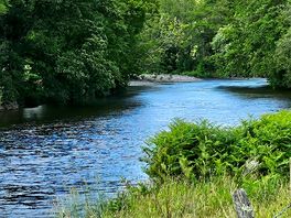 View of river