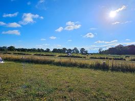 Panoramic view