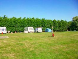 Pitches on site