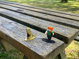Each pitch had a picnic table which is useful