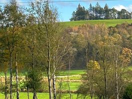 View from our caravan
