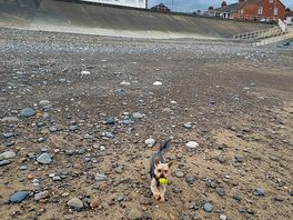Withernsea beach