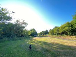 Looking down the site
