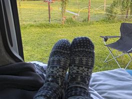 Watching the chickens