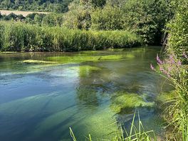 Chalk streams by campsite