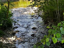 Another river shot