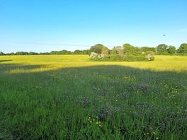 Walk to pub