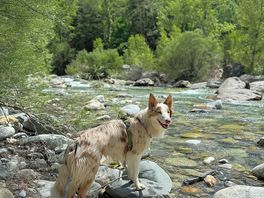 Río al lado del camping