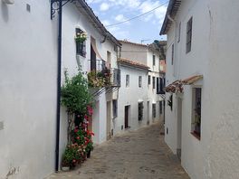 Gorgeous grazalema