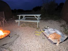 An even well spent ! great for star gazing by the fire