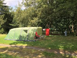 Wooded pitches