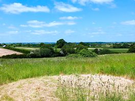 View from the secluded picnic spot