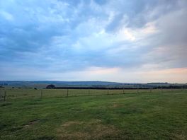 Field
