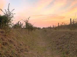 Public footpath walk towards the beech