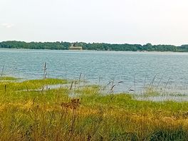 Salt marsh