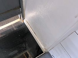 Black mould