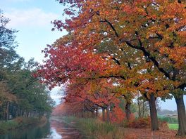 Canal to apledoorn