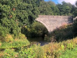 View of the bridge