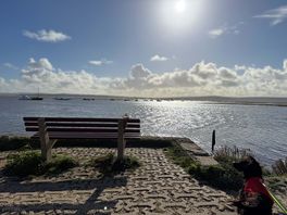 A walk from the campsite through the fields and you pop out by the coast